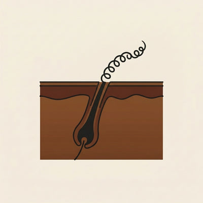 Le poil ne repousse plus sous la peau - After
